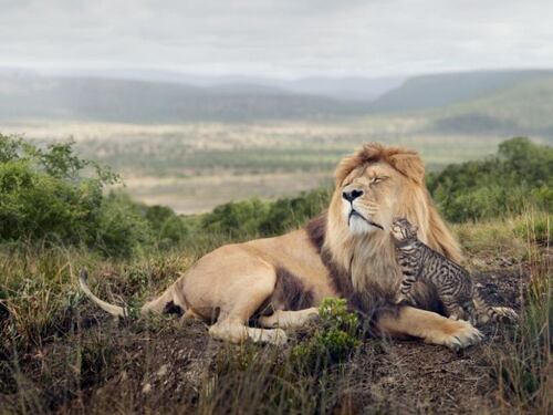 I finalisti del Sony World Photography Awards