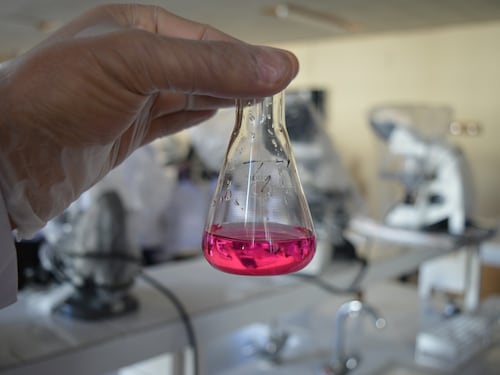 Morbo di Crohn, scoperto l'ormone che protegge dall'infiammazione