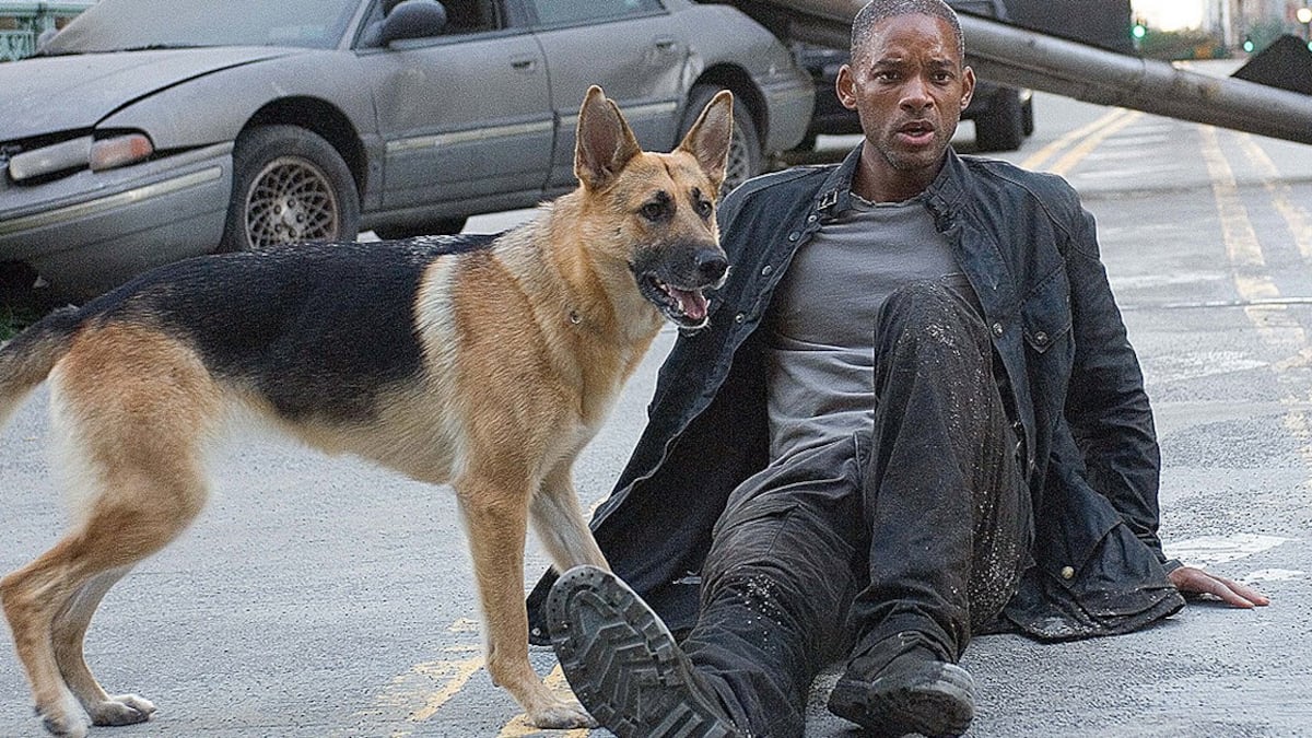 Io sono leggenda, quando Will Smith è andato a un appuntamento... con un cane