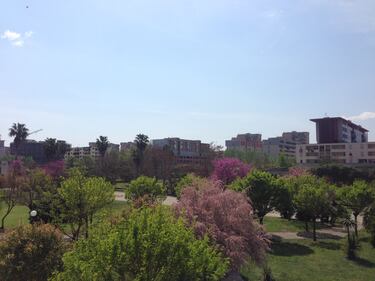 Periferie d'Italia, viaggio a Scampia 9