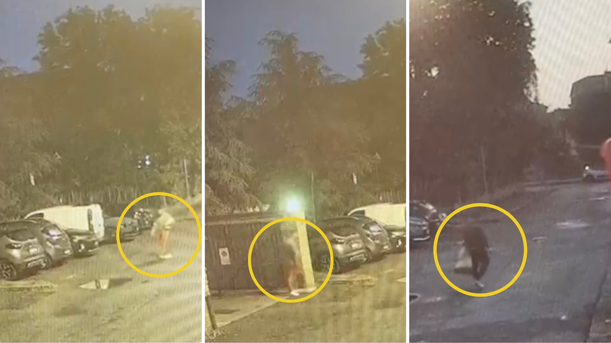 Il coltello, il corpo in auto, gli orari che non tornano: chi ha aiutato Alessandro Impagnatiello?