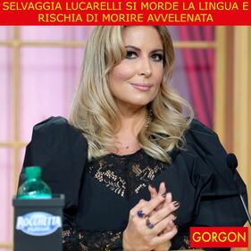 La satira del giorno. Incidente a Selvaggia Lucarelli 1