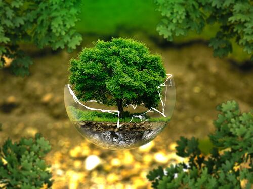 Giornata mondiale dell'ambiente, "Multiversity" aderisce alla Science Based Targets initiative