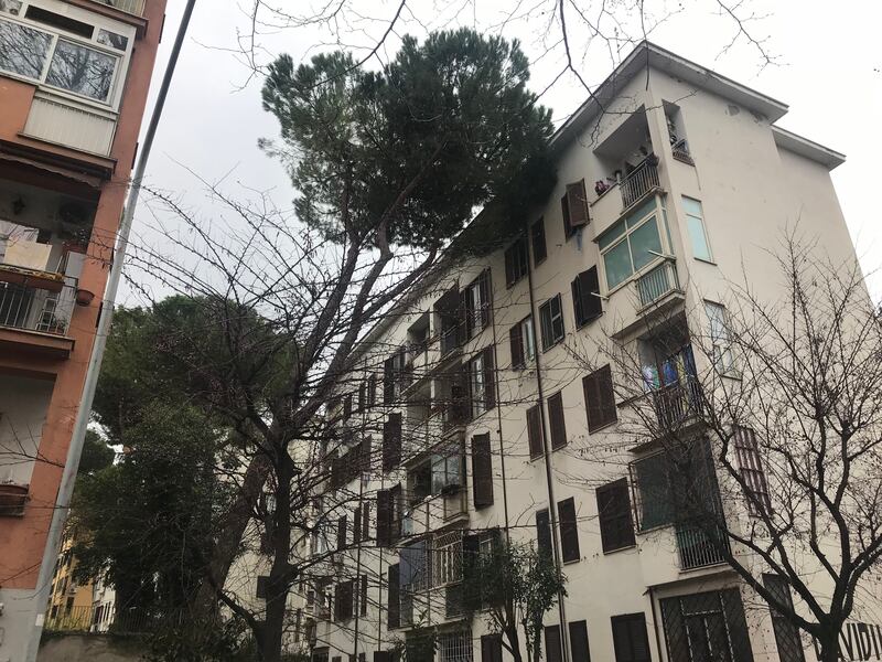 I danni alle palazzine Ater dopo il maltempo che si è abbattuto sulla Capitale 12