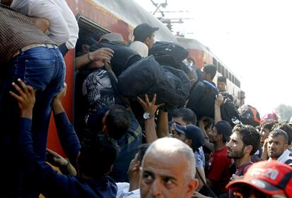 Macedonia, l'assalto dei clandestini ai treni per l'Europa 6