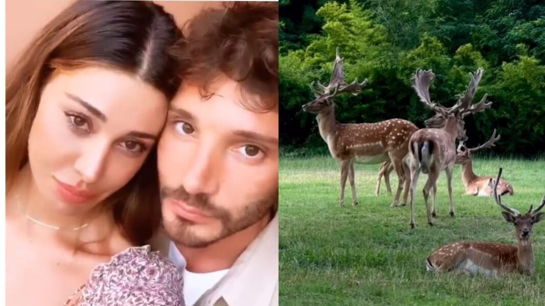 Stefano e quella voce femminile, Belen pubblica il video con le corna: cosa succede tra De Martino e la Rodriguez