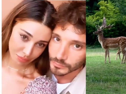 Stefano e quella voce femminile, Belen pubblica il video con le corna: cosa succede tra De Martino e la Rodriguez