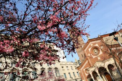 A Milano è primavera in anticipo  7