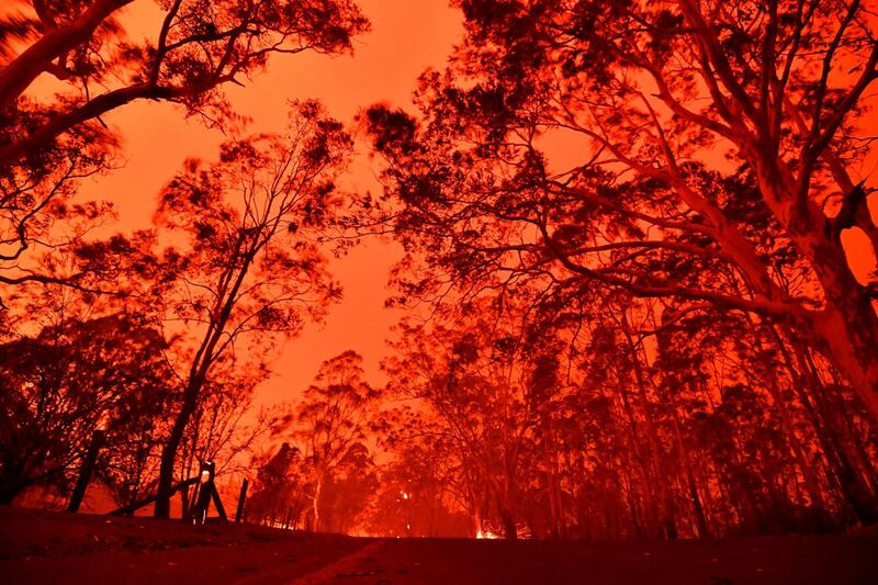 L'Australia in fiamme 1