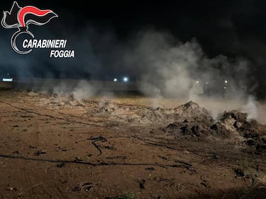 Cerignola, bruciavano i rifiuti in campagna: tre denunce 6