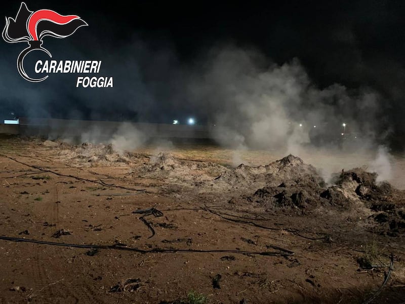 Cerignola, bruciavano i rifiuti in campagna: tre denunce 6