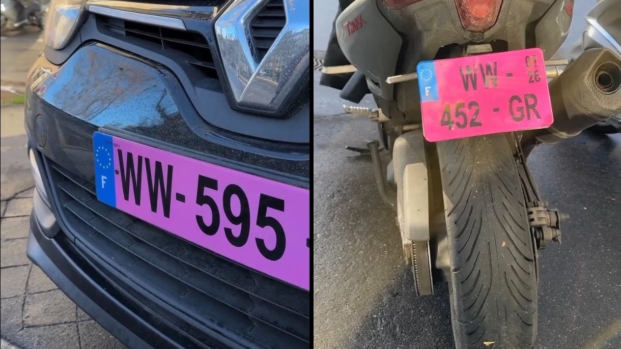 Auto, ecco la targa rosa: dove è stata introdotta e cosa indica