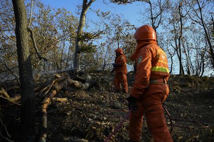 Incendi in Val di Susa 2