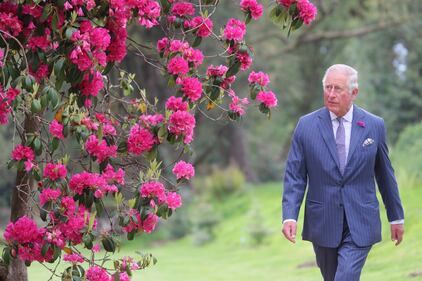 Il Principe Carlo  e la visita in Irlanda del Nord  5