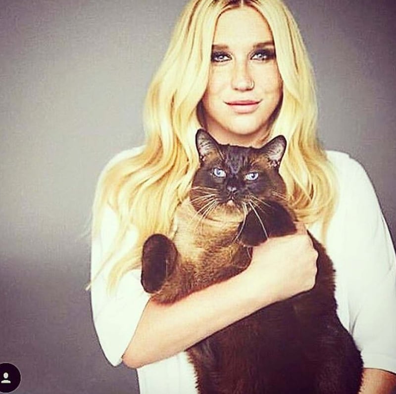 Kesha su Instagram, foto 19