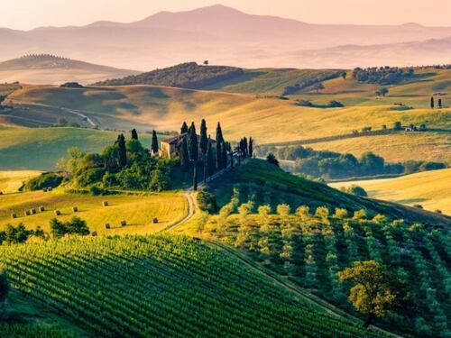 Turismo enogastronomico: un business in cerca di professionisti
