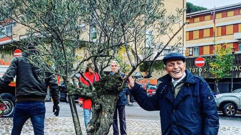 Così il web restituisce al centenario l'albero che la Raggi gli ha tolto