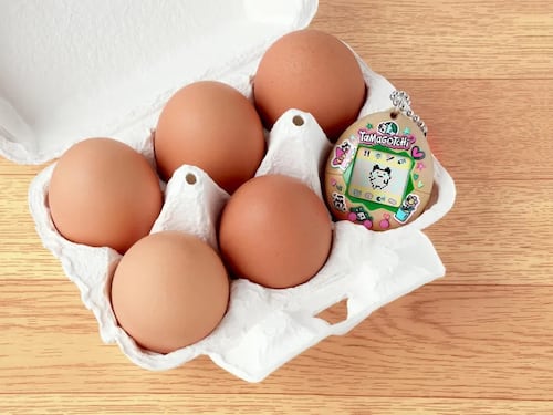 Torna il Tamagotchi in versione green: sarà realizzato con gusci d'uovo riciclati
