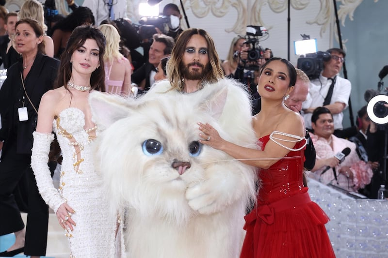 L'omaggio felino a Lagerfeld di Jared Ledo (e gli altri) 4