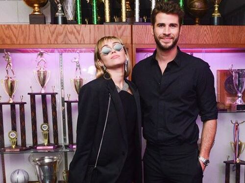 Divorzio Cyrus-Hemsworth: a chi saranno affidati i loro 15 animali?