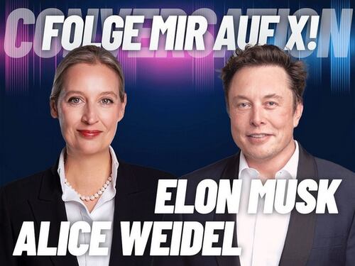 Elon Musk intervista la leader Afd: "La Merkel ha rovinato la Germania"