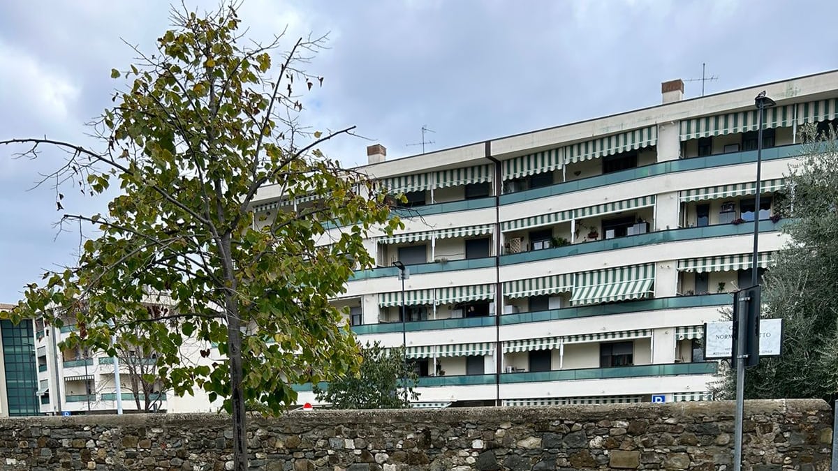 Firenze, cinghiali e degrado nel giardino intitolato a Norma Cossetto