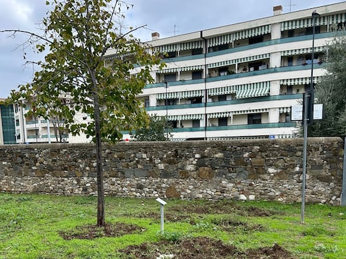 Firenze, cinghiali e degrado nel giardino intitolato a Norma Cossetto