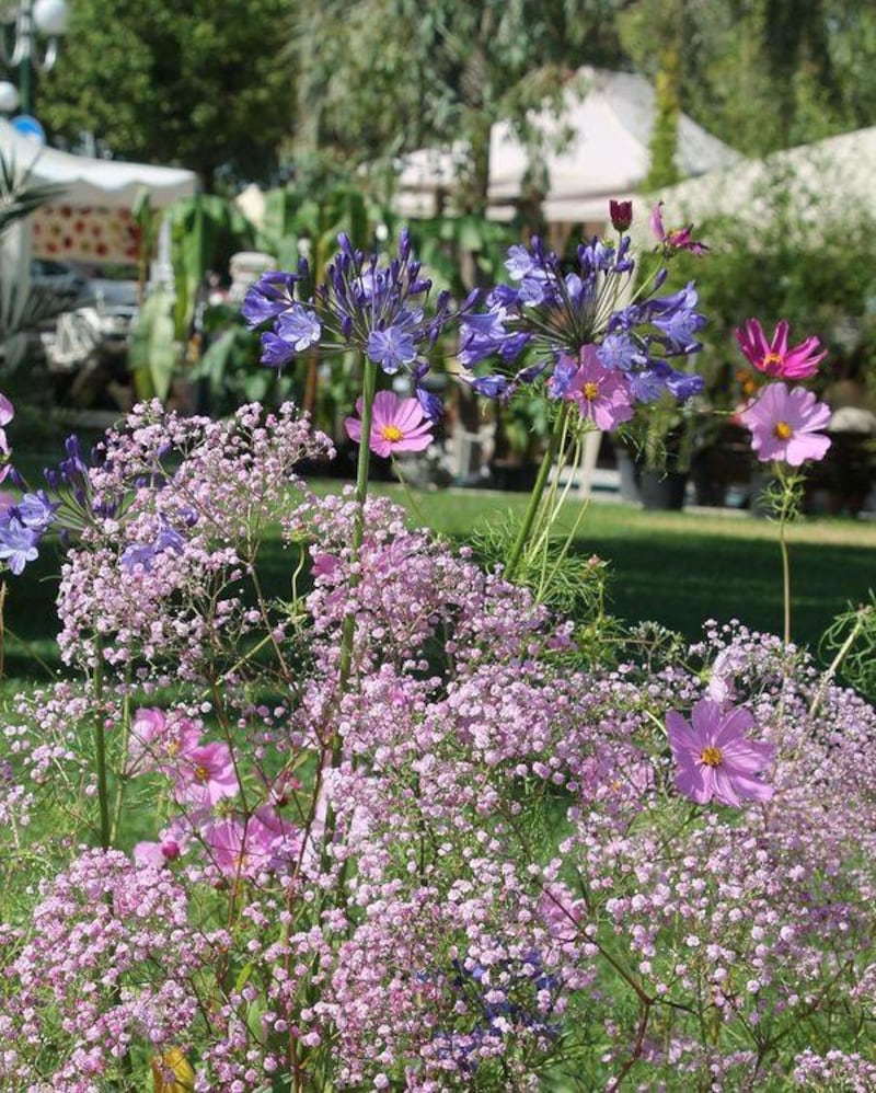 Giardini Arte Fiori Forte GAFF: il giardino che fiorisce dal mare 1