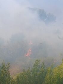 Bruciano le alture di Seborga, fiamme vicino alle case 1