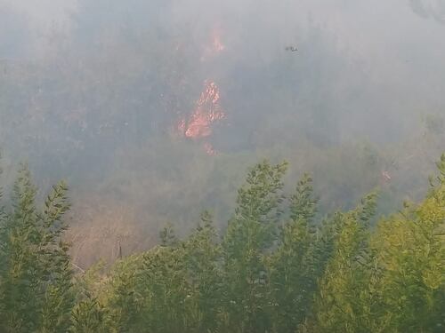 Bruciano le alture di Seborga, fiamme vicino alle case