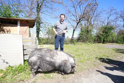 Salvini alle prese con un maiale nel campo Rom 1