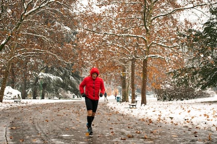 Bologna sotto la neve, le immagini 6