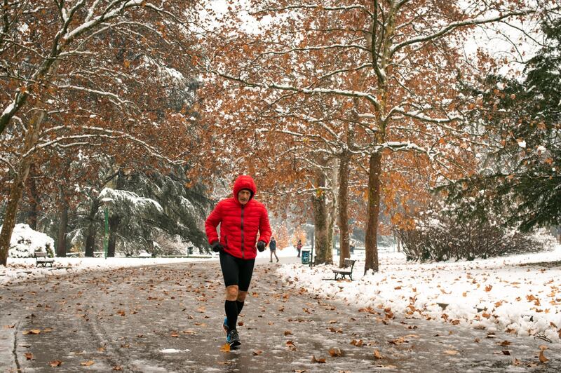 Bologna sotto la neve, le immagini 6