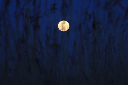 La Super Luna: le immagini suggestive dall'est della Francia  5