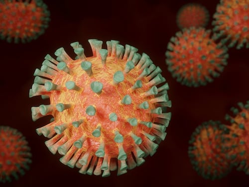 Covid, scoperto il ruolo delle cellule T nella durata dell'immunità