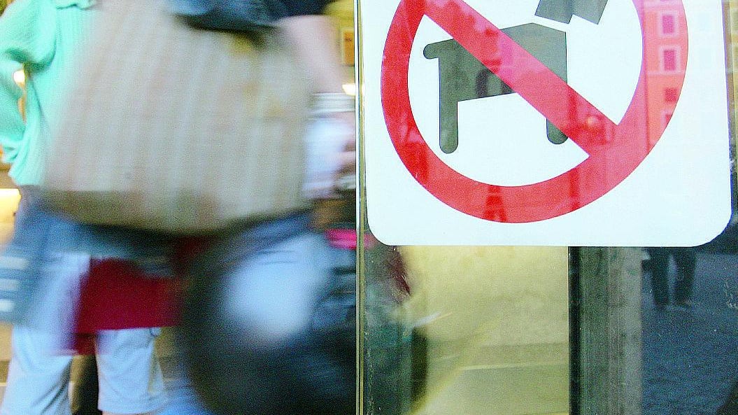 Vietate catene e accattonaggio e cani anche dentro l'ospedale