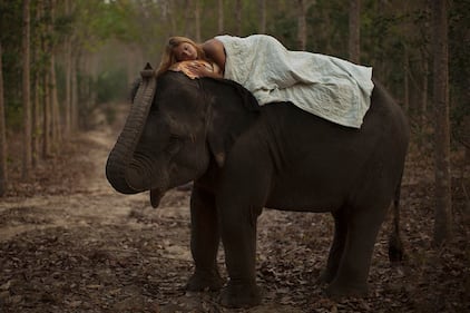 Katerina Plotnikova, modelle e animali posano insieme 8