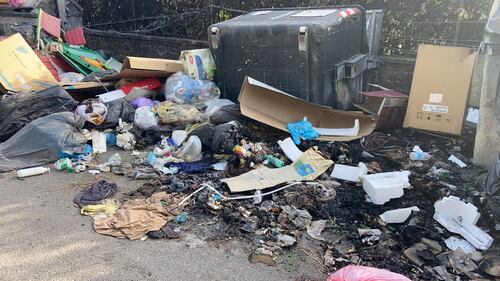 Roma, rifiuti inondano la strada a Tor Bella Monaca 3