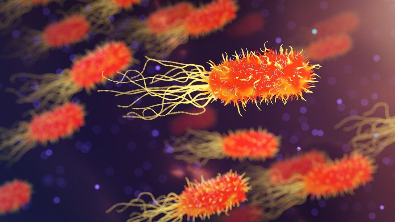 Ecco cosa succede ai batteri: resistono di più agli antibiotici