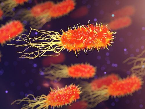 Ecco cosa succede ai batteri: resistono di più agli antibiotici