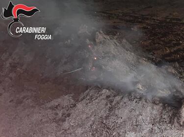 Cerignola, bruciavano i rifiuti in campagna: tre denunce 10