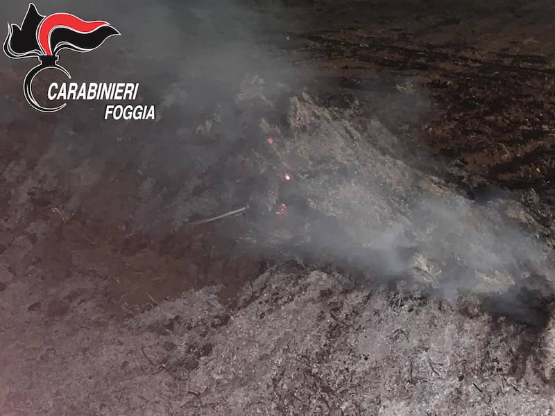 Cerignola, bruciavano i rifiuti in campagna: tre denunce 10