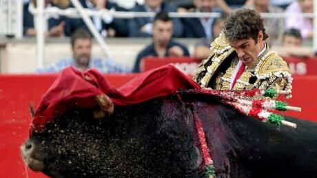 La federazione italiana per i diritti animali e il singolo anti corrida di Jacchetti junior