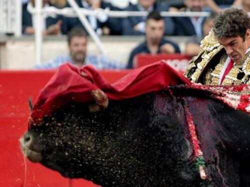 La federazione italiana per i diritti animali e il singolo anti corrida di Jacchetti junior