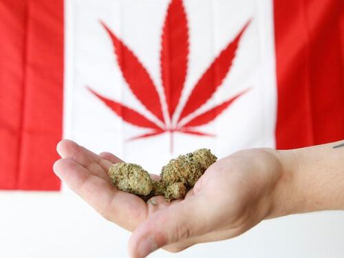 In Canada entra in vigore la norma che legalizza la marijuana