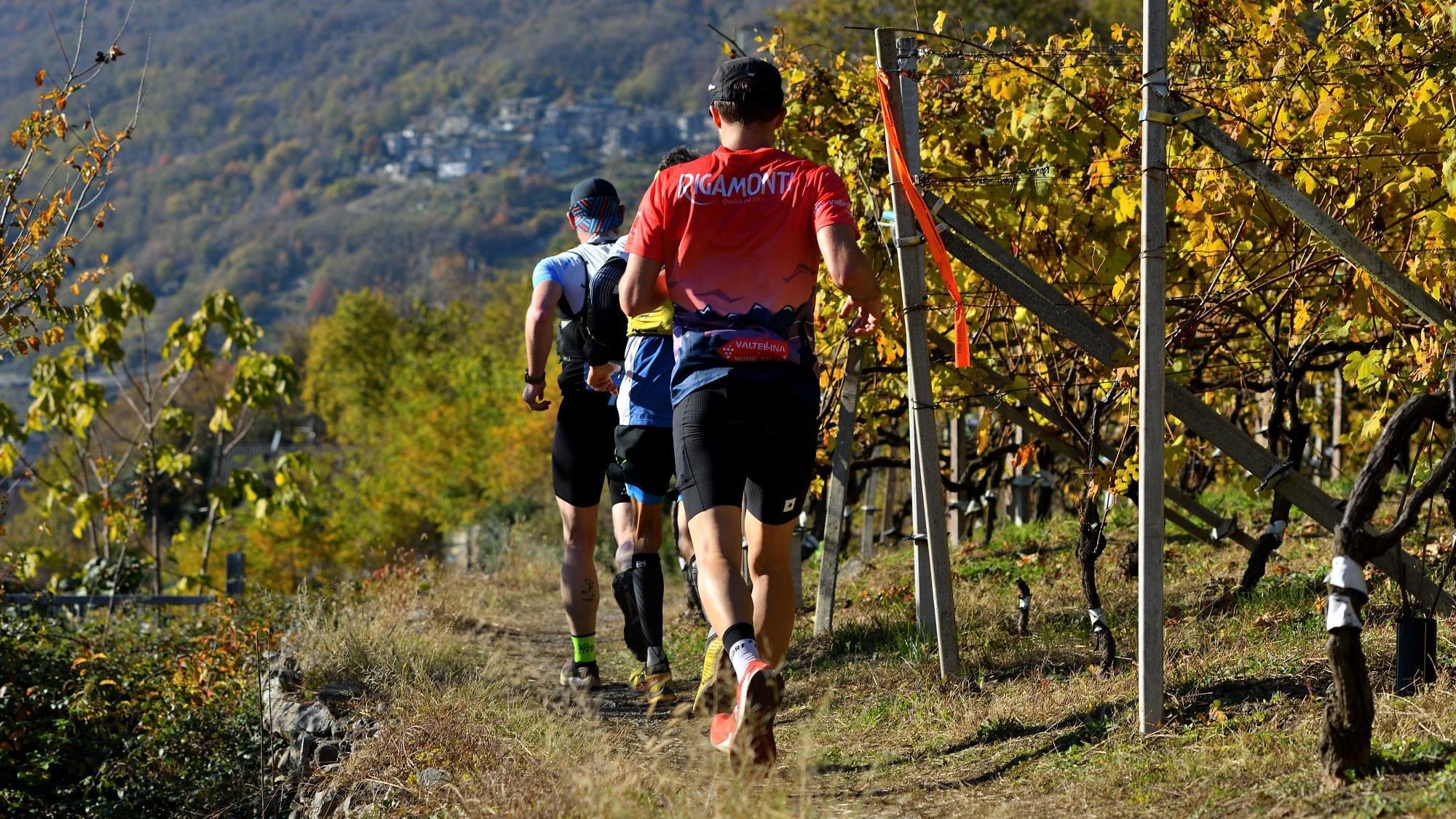 Il Valtellina Wine Trail fa il tutto esaurito. Quattromila runner tra vigneti e cantine