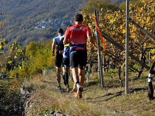Il Valtellina Wine Trail fa il tutto esaurito. Quattromila runner tra vigneti e cantine