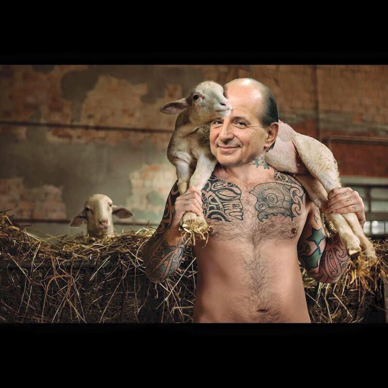 Le vagane contro Chef Rubio 5