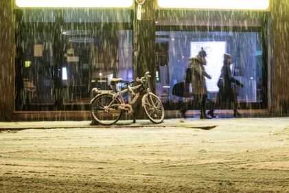 Bologna sotto la neve, le immagini 9