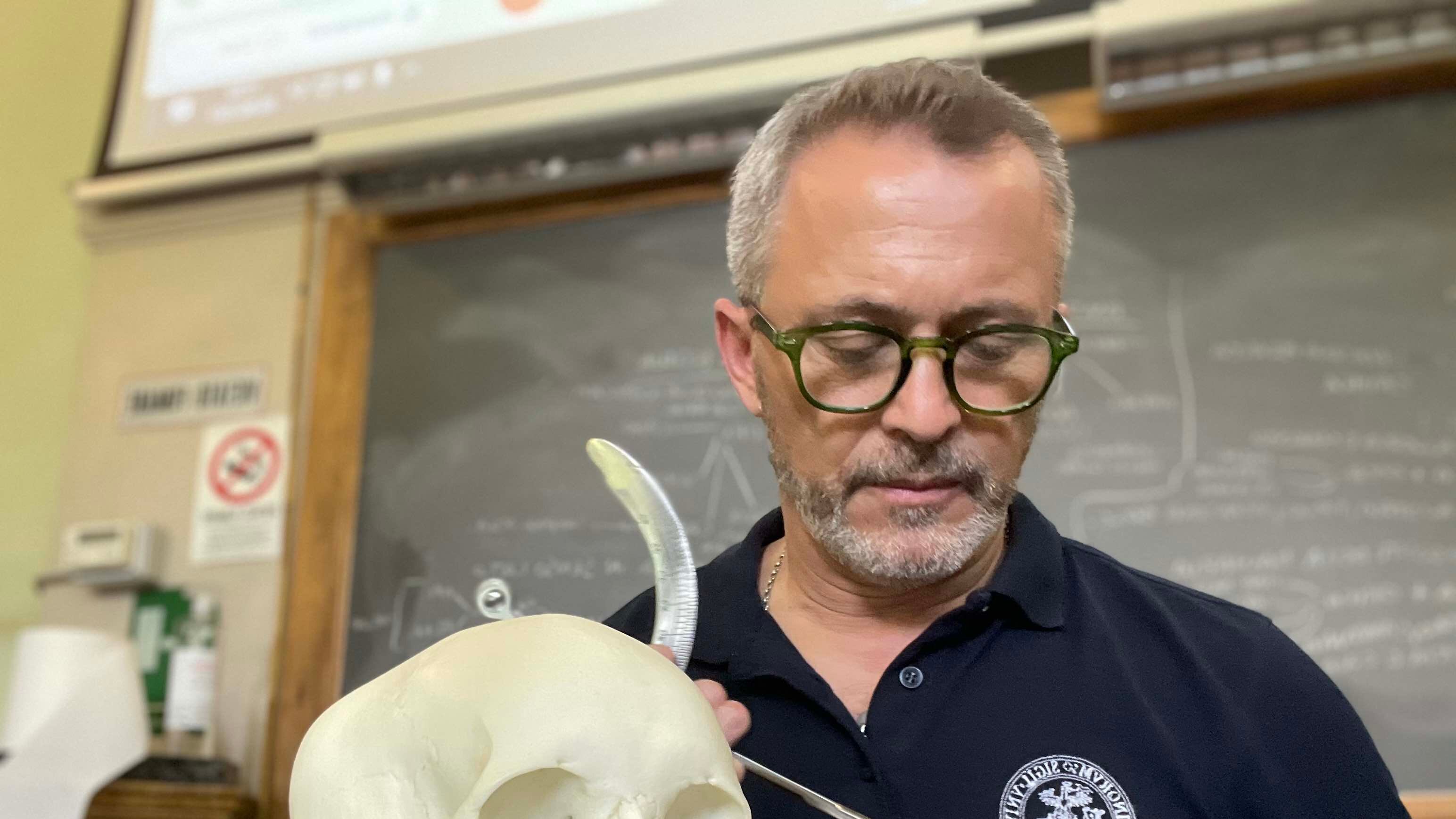 "Quel 'morso' sul corpo a Via Poma. Vi dico cosa fa un odontologo forense"